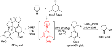 Graphical abstract: Redox-neutral α-functionalization of pyrrolidines: facile access to α-aryl-substituted pyrrolidines