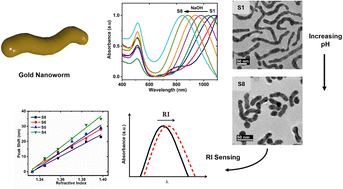 Graphical abstract: Engineering gold nanoworms with tunable longitudinal plasmon peak in the near infrared and their refractive index sensing properties