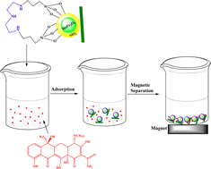 Graphical abstract: Synthesis and characterization of new composite from modified silica-coated MnFe2O4 nanoparticles for removal of tetracycline from aqueous solution