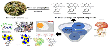 Graphical abstract: ADME profiling, molecular docking, DFT, and MEP analysis reveal cissamaline, cissamanine, and cissamdine from Cissampelos capensis L.f. as potential anti-Alzheimer's agents