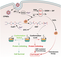 Graphical abstract: Self-supplying Cu2+ and H2O2 synergistically enhancing disulfiram-mediated melanoma chemotherapy