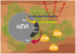 Graphical abstract: Enhanced thermal desorption of chlorinated hydrocarbons by nanoscale zero-valent iron: the effect of in situ dechlorination