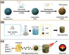 Graphical abstract: NIR-responsive magnesium phosphate cement loaded with simvastatin-nanoparticles with biocompatibility and osteogenesis ability