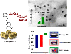 Graphical abstract: A graft-to strategy of poly(vinylphosphonates) on dopazide-coated gold nanoparticles using in situ catalyst activation