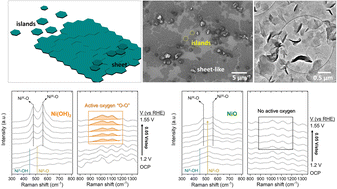 Graphical abstract: Synthesis and electrochemical evaluation of nickel hydroxide nanosheets with phase transition to nickel oxide
