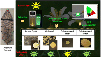 Graphical abstract: Sustainable next-generation color converters from P. harmala seed extracts for solid-state lighting