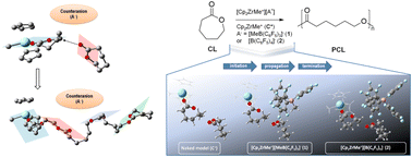 Graphical abstract: Mechanism of cationic ring-opening polymerisation of ε-caprolactone using metallocene/borate catalytic systems: a DFT and NCI study on chain initiation, propagation and termination
