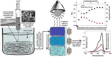 Graphical abstract: Synthesis and performance evaluation of zinc oxide tubes/alginate microfibre composites for photodegradation of methylene blue: a novel reporting approach