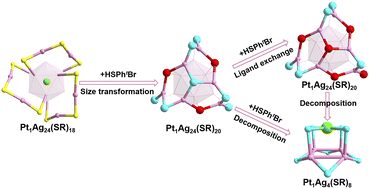 Graphical abstract: Understanding the decomposition process of the Pt1Ag24(SPhCl2)18 nanocluster at the atomic level