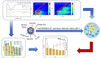 Graphical abstract: Achievement of waste sludge deep dehydration under acidic conditions with polydimethyldiallylammonium chloride and ferric chloride: performance and mechanism