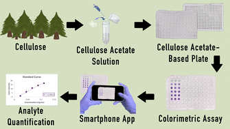 Graphical abstract: Cellulose acetate microwell plates for high-throughput colorimetric assays