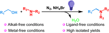 Graphical abstract: Visible-light-induced N-alkylation of anilines with 4-hydroxybutan-2-one