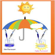 Graphical abstract: Photocatalytic degradation of methyl blue dye with H2O2 sensing