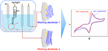 Graphical abstract: Electrochemical sensing performance of two CuO nanomaterial-modified dual-working electrodes