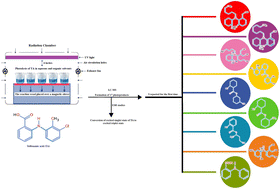 Graphical abstract: Photolysis of tolfenamic acid in aqueous and organic solvents: a kinetic study