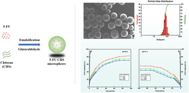 Graphical abstract: Controlled delivery of 5-fluorouracil from monodisperse chitosan microspheres prepared by emulsion crosslinking
