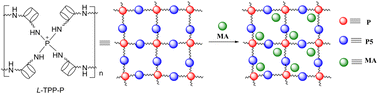 Graphical abstract: Construction of a pillar[5]arene-based supramolecular chiral polymer linked to aminophosphine salt for chiral recognition of enantiomers of mandelic acid