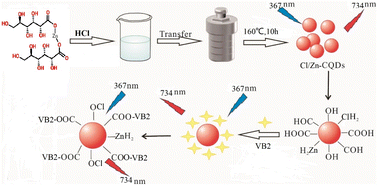 Graphical abstract: Preparation of carbon quantum dots and their application in the detection of vitamin B2