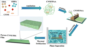 Graphical abstract: Carbon nitride/polyimide porous film via an NIPS method with advanced dielectric and hydrophobicity properties