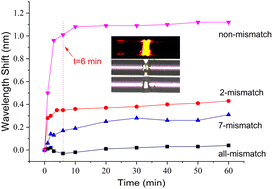 Graphical abstract: Rapid and quantitative detection of DNA hybridization using a simplified Fabry–Perot interferometric biosensor