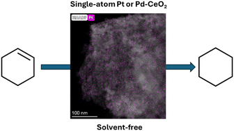 Graphical abstract: Hydrogenation of cyclohexene over single-atom Pt or Pd incorporated porous ceria nanoparticles under solvent-free conditions