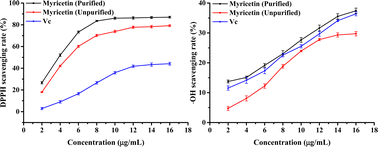 Graphical abstract: Deep eutectic solvent extraction of myricetin and antioxidant properties
