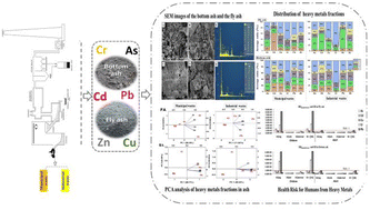 Graphical abstract: Insight into heavy metal chemical fractions in ash collected from municipal and industrial waste incinerators in northern Vietnam