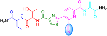 Graphical abstract: An antiviral oligomerized linear thiopeptide with a nitrile group from soil-derived Streptomyces sp. CPCC 203702