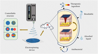 Graphical abstract: Recent progress of electrospun nanofibers as burning dressings