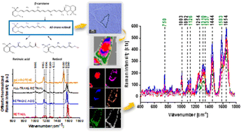 Graphical abstract: Monitoring alterations of all-trans-retinal in human brain cancer cells by label-free confocal Raman imaging: regulation of the redox status of cytochrome c