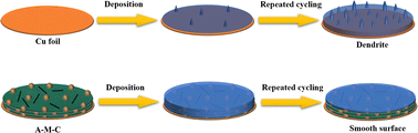 Graphical abstract: Alkalized MXene/carbon nanotube composite for stable Na metal anodes