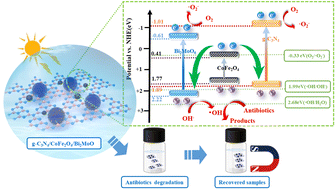 Graphical abstract: Investigation of the photocatalytic activity of magnetically recoverable g-C3N4/CoFe2O4/Bi2MoO6 particles for purifying tetracycline antibiotics: synthesis, characterization, ecotoxicity analysis, and plant toxicity test