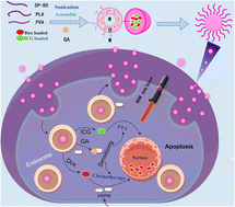 Graphical abstract: A novel nanodrug for the sensitization of photothermal chemotherapy for breast cancer in vitro