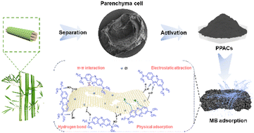 Graphical abstract: Efficient dye adsorption of mesoporous activated carbon from bamboo parenchyma cells by phosphoric acid activation