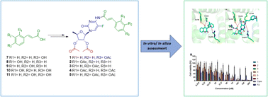 Graphical abstract: The conjugates of 5′-deoxy-5-fluorocytidine and hydroxycinnamic acids – synthesis, anti-pancreatic cancer activity and molecular docking studies