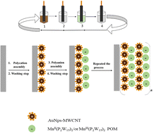 Graphical abstract: Layer-by-layer assembly of tetra-Mn-containing 30-tungsto-4-phosphate, [M4(H2O)2(P2W15O56)2]n− (M = MnII and MnIII) with AuNps-MWCNT: electrochemical detection of iodate