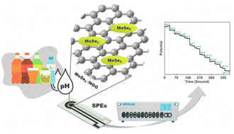 Graphical abstract: Construction of an electrochemical pH sensor using one-pot synthesis of a molybdenum diselenide/nitrogen doped graphene oxide screen-printed electrode