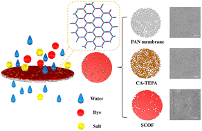 Graphical abstract: Effective separation of dyes/salts by sulfonated covalent organic framework membranes based on phenolamine network conditioning