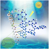 Graphical abstract: Polyvinyl alcohol as solid proton donor to modify g-C3N4 via hydrogen bonding enabling efficient photocatalytic H2O2 production from H2O and O2
