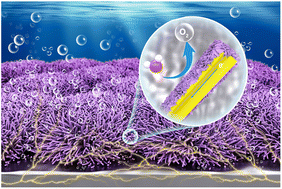Graphical abstract: One-step hydrothermal synthesis of a Ni3S2–FeMoO4 nanowire–nanosheet heterostructure array for synergistically boosted oxygen evolution reaction