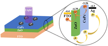 Graphical abstract: High-performance self-powered ultraviolet photodetector based on a ZnO/CuPc inorganic/organic heterojunction