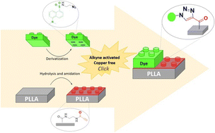 Graphical abstract: An easy and simple method for the immobilization of dyes through click reactions: activated alkyne, copper not needed