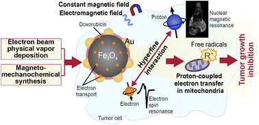 Graphical abstract: Characterization and antitumor effect of doxorubicin-loaded Fe3O4–Au nanocomposite synthesized by electron beam evaporation for magnetic nanotheranostics