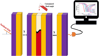 Graphical abstract: Detection and photothermal inactivation of Gram-positive and Gram-negative bloodstream bacteria using photonic crystal biosensor and plasmonic core–shell