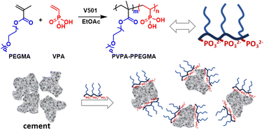 Graphical abstract: The synthesis and adsorption–dispersion properties of PPEGMA–PVPA copolymers in cement paste