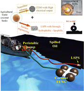 Graphical abstract: Superhydrophobic foam combined with biomass-derived TENG based on upcycled coconut husk for efficient oil–water separation