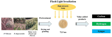 Graphical abstract: Biomass screening for syngas production by flash photopyrolysis