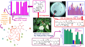 Graphical abstract: In vitro and in silico docking and molecular dynamic of antimicrobial activities, alpha-glucosidase, and anti-inflammatory activity of compounds from the aerial parts of Mussaenda saigonensis