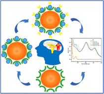 Graphical abstract: Au@Ag nanoparticles: an analytical tool to study the effect of tyrosine on dopamine levels