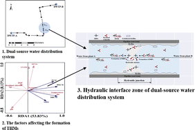 Graphical abstract: Analysis of the seasonal water quality variation at the hydraulic junction of a dual-source water distribution system